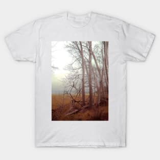 Ash trees and mist T-Shirt